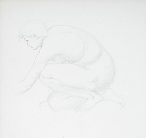 Desnudo femenino en cuclillas