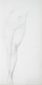 Estudio de las piernas femeninas