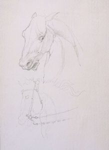 Estudio de la cabeza de un caballo de Edward Coley Burne Jones