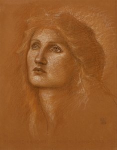 Cabeza de una mujer, 1890