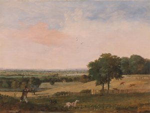 Tiro de perdiz de Edward Duncan