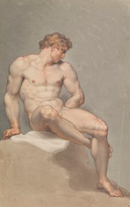 Estudio de un desnudo masculino