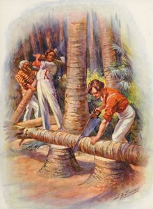 Ilustración para Masterman Ready del Capitán Marryat (litografía en color)