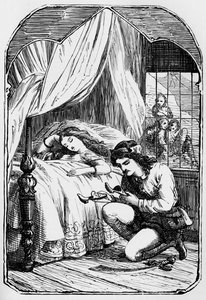 El cazador experimentado, 1901