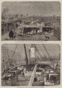Ganado para el mercado navideño de Edward Hull