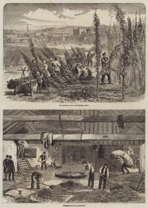 Recolección de lúpulo en Kent de Edward Hull