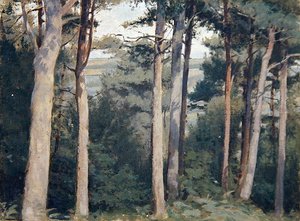 Castillo Lambert de Edward Ingram Taylor
