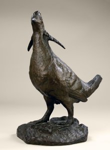 Pollo de pradera de Edward Kemeys