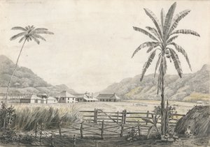 Vista de la plantación de azúcar Hall-head, Jamaica de Edward Kennion