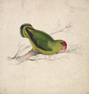  de Edward Lear