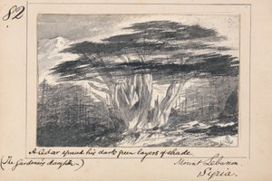 Monte Líbano, Siria - Un Cedro extendió sus capas de sombra verde oscuro de Edward Lear
