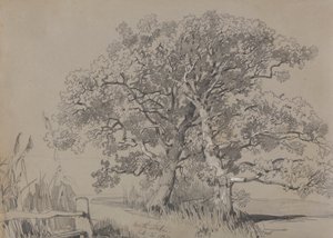 North Stoke. 21 de octubre de 1834. de Edward Lear
