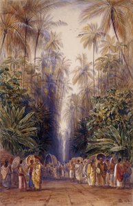En el camino a Galle, Ceilán de Edward Lear