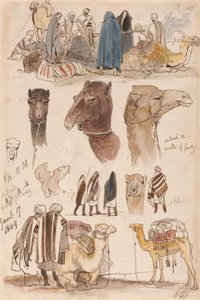 Fuera de las murallas de Suez, 8:30 a.m., 17 de enero de 1849 (54) de Edward Lear