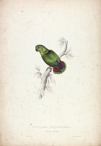  de Edward Lear
