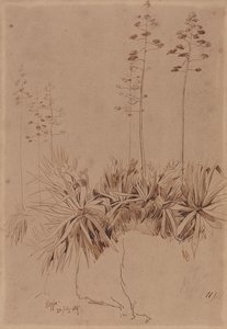 Reggio