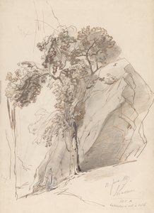  de Edward Lear