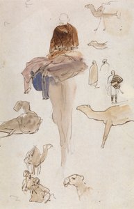 Estudios sobre camellos de Edward Lear