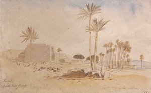 Tapha, 7:50 a.m., 17 de febrero de 1867 de Edward Lear
