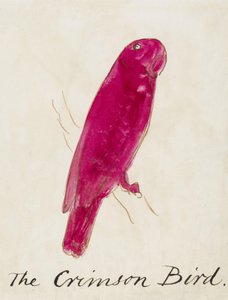 El pájaro carmesí, de Dieciséis dibujos de pájaros cómicos de Edward Lear