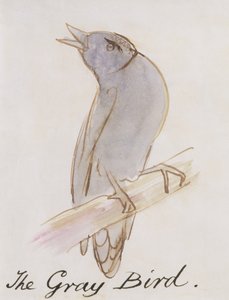 El Pájaro Gris, de 