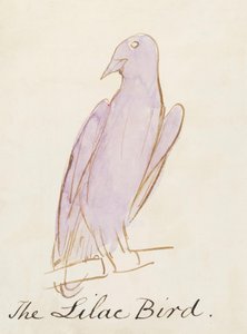 El pájaro lila, de Dieciséis dibujos de pájaros cómicos de Edward Lear