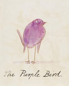 El pájaro púrpura, de "Dieciséis dibujos de pájaros cómicos"