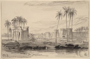 Tebas de Edward Lear