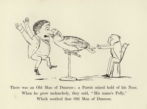 Había un viejo de Dunrose; un loro le agarró la nariz