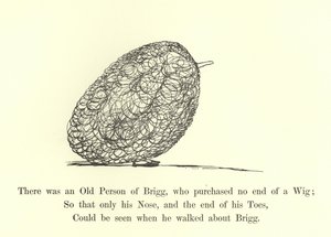 Había una Persona Mayor de Brigg, que compró un sinfín de pelucas de Edward Lear