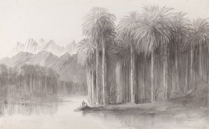 Wady Feiran, Península del Monte Sinaí de Edward Lear