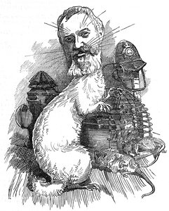 Adolphus "Dolly" Williamson
