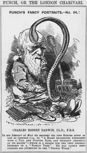 Charles Darwin, retratos de fantasía de Punch, No 54, ilustración de 
