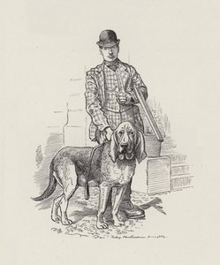 Ilustración de Los niños del agua de Charles Kingsley de Edward Linley (after) Sambourne