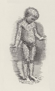 Ilustración para Los Niños del Agua de Charles Kingsley de Edward Linley (after) Sambourne
