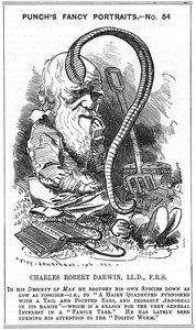 Charles Darwin (1809-1882) naturalista inglés. Evolución por selección natural. Caricatura de Edward Linley Sambourne (1844-1910) en la serie Fancy Portrait en Punch, Londres 1881, el año en que Darwin publicó La formación del moho vegetal a través de la a de Edward Linley Sambourne