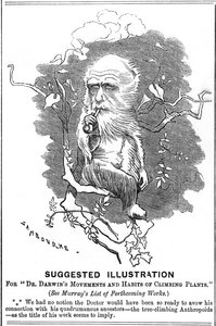 Charles Darwin, naturalista inglés, 1875 de Edward Linley Sambourne