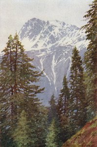 Kotwal desde el bosque sobre Kangan, Valle de Sind de Edward Mary Joseph Molyneux