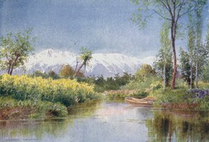 En el lago Dal en primavera