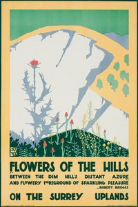 Flores de las colinas, en las tierras altas de Surrey