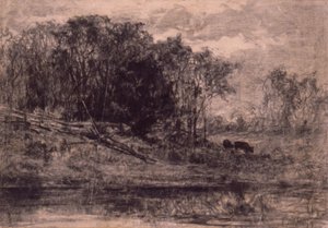 Vacas en el bosque
