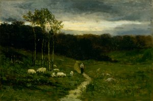 Mujer caminando por un sendero