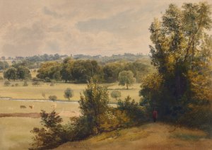 Paisaje de árboles y campos