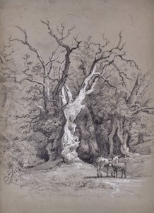 Paisaje con árbol de Edward Pretty