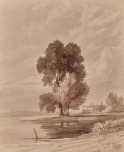 Paisaje con árboles de Edward Pretty