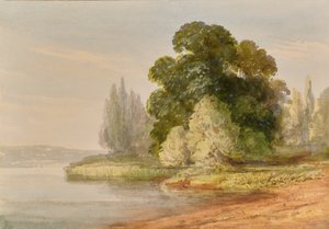 Paisaje con árboles de Edward Pretty
