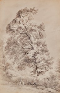 Paisaje con árboles de Edward Pretty