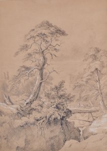 Paisaje con puente de madera