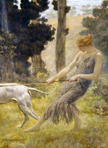 Mujer Caminando con su Perro