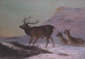 Invierno de Edward Robert Smythe